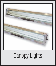 Canopy Lights & Plugs